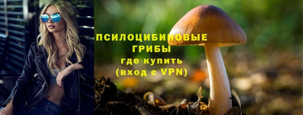 бошки Осташков