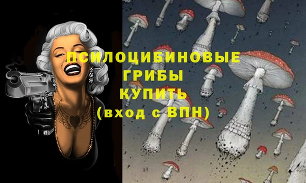бошки Осташков
