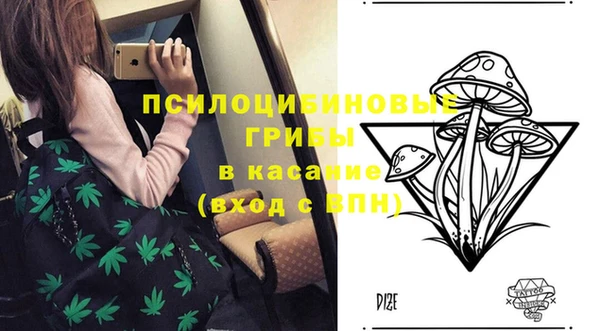 mdpv Осинники