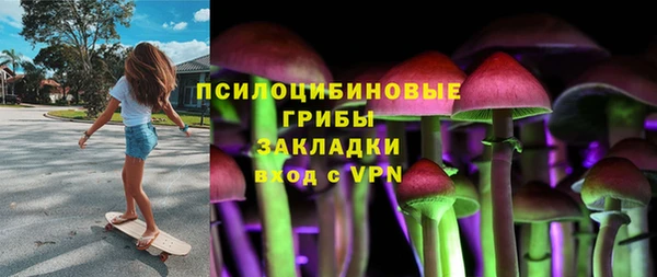 бошки Осташков