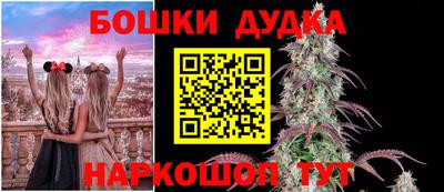 spice Аргун