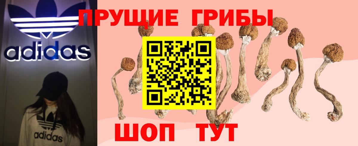 закладки  Галлюциногенные грибы Cubensis  Галлюциногенные грибы Magic Shrooms  Вход с VPN  Барнаул 
